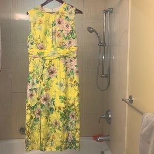 Anthropologie 50% silk flowery dress